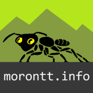 morontt.info